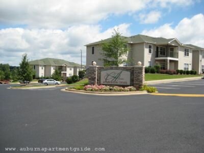 The Arbors at Meadow Brook