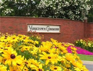 Yorktown Commons